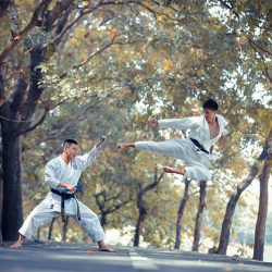 bullying, martial arts, misbehaviour