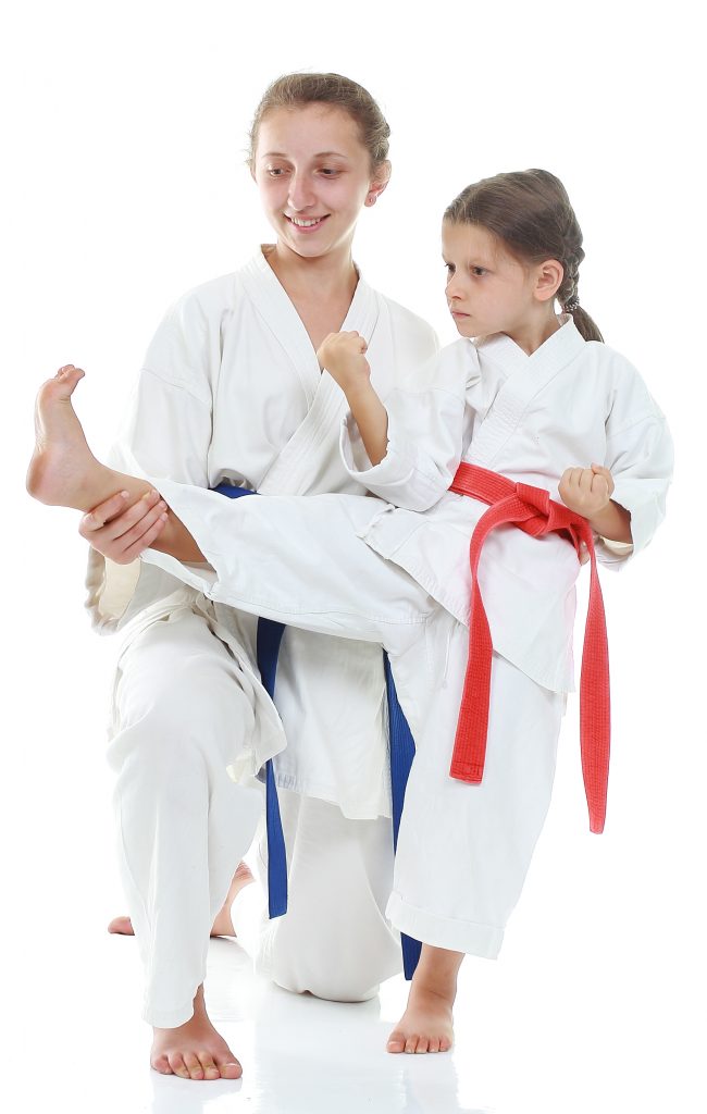 Family Martial Arts Classes At Northwest Indiana Martial Arts